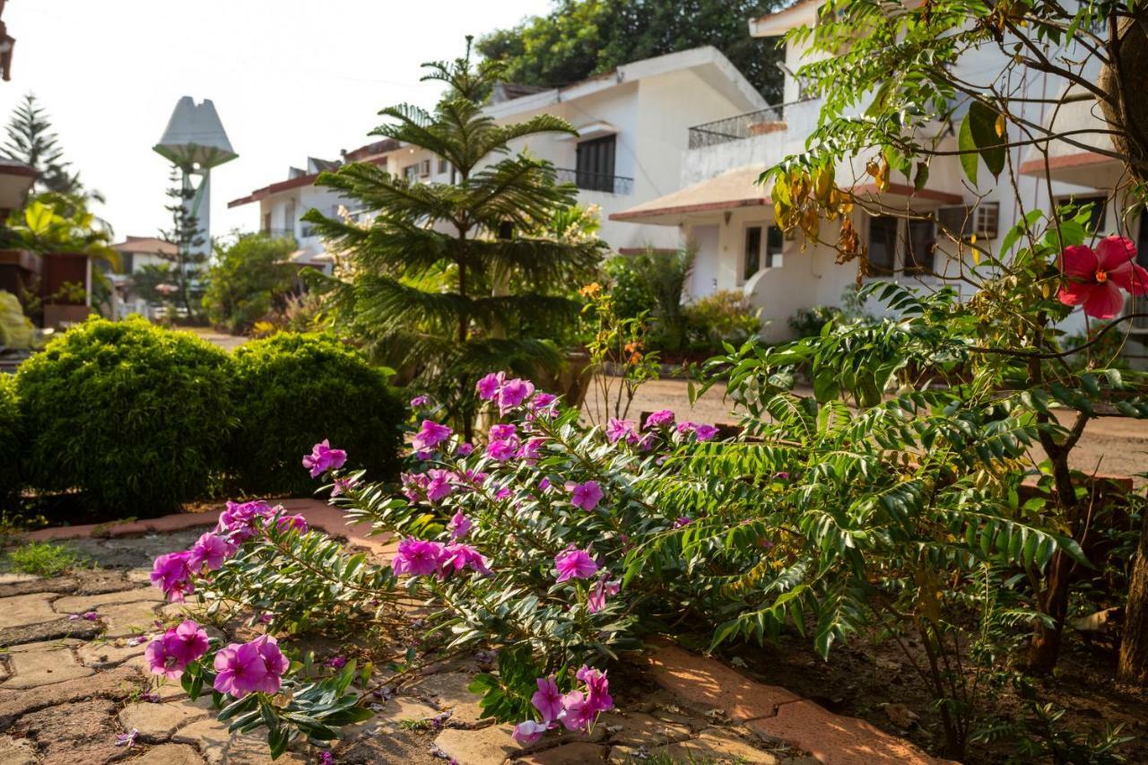 Aspirealconvilla-2Bhk-Beachtouch-Candolim Luaran gambar